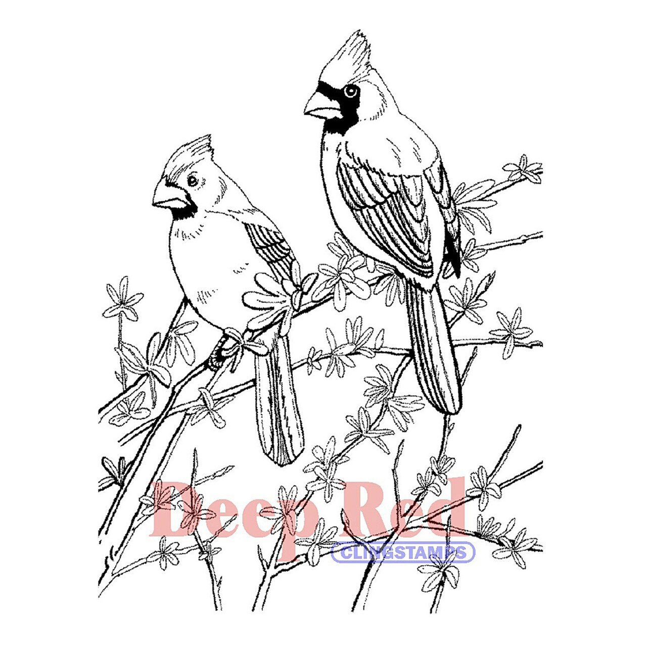 Deep Red Stamps Cardinals Rubber Cling Stamp 3.25 x 4.25 inches